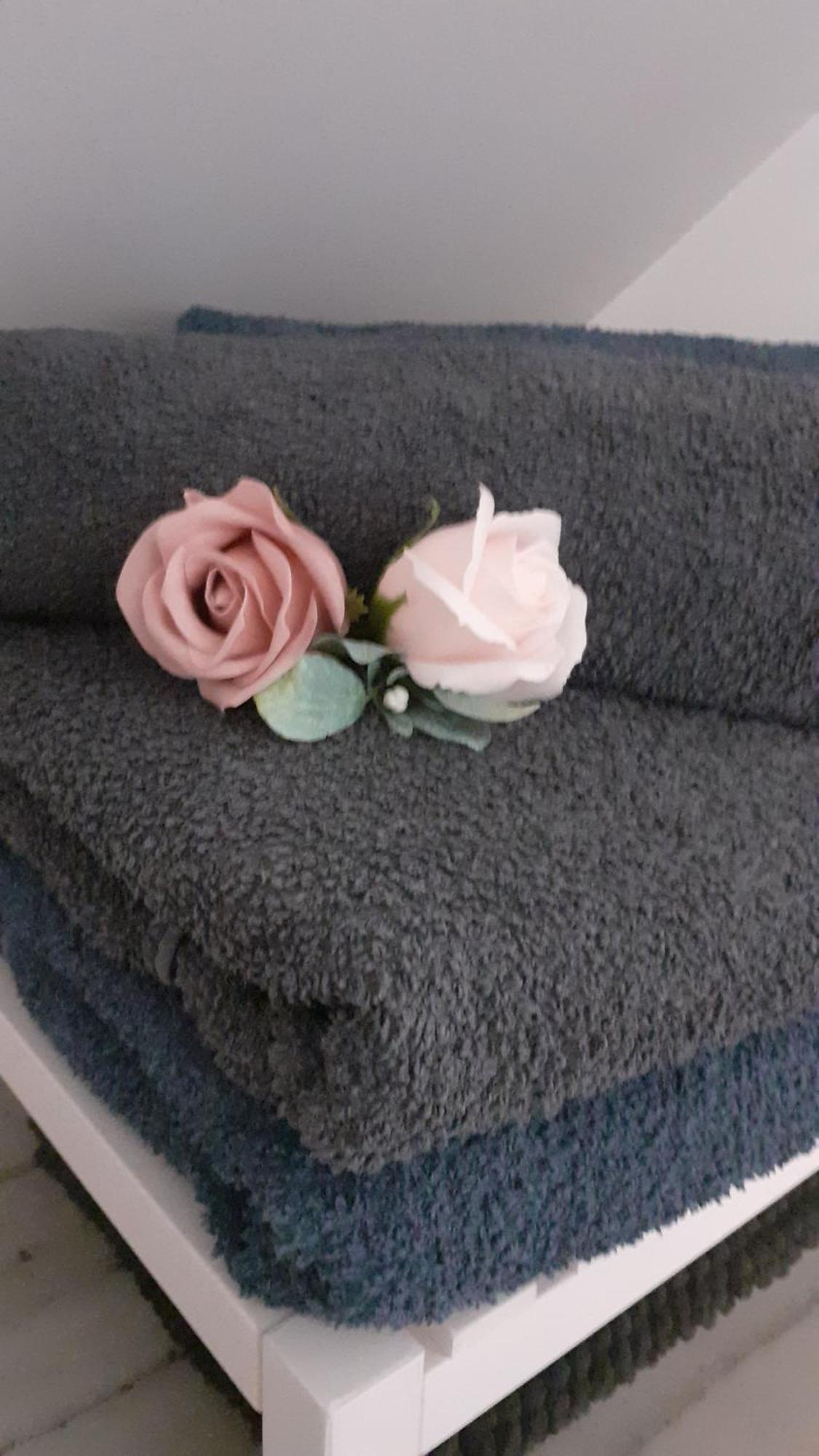 Apartament Quietude Au Bord De Loire. Orlean Zewnętrze zdjęcie