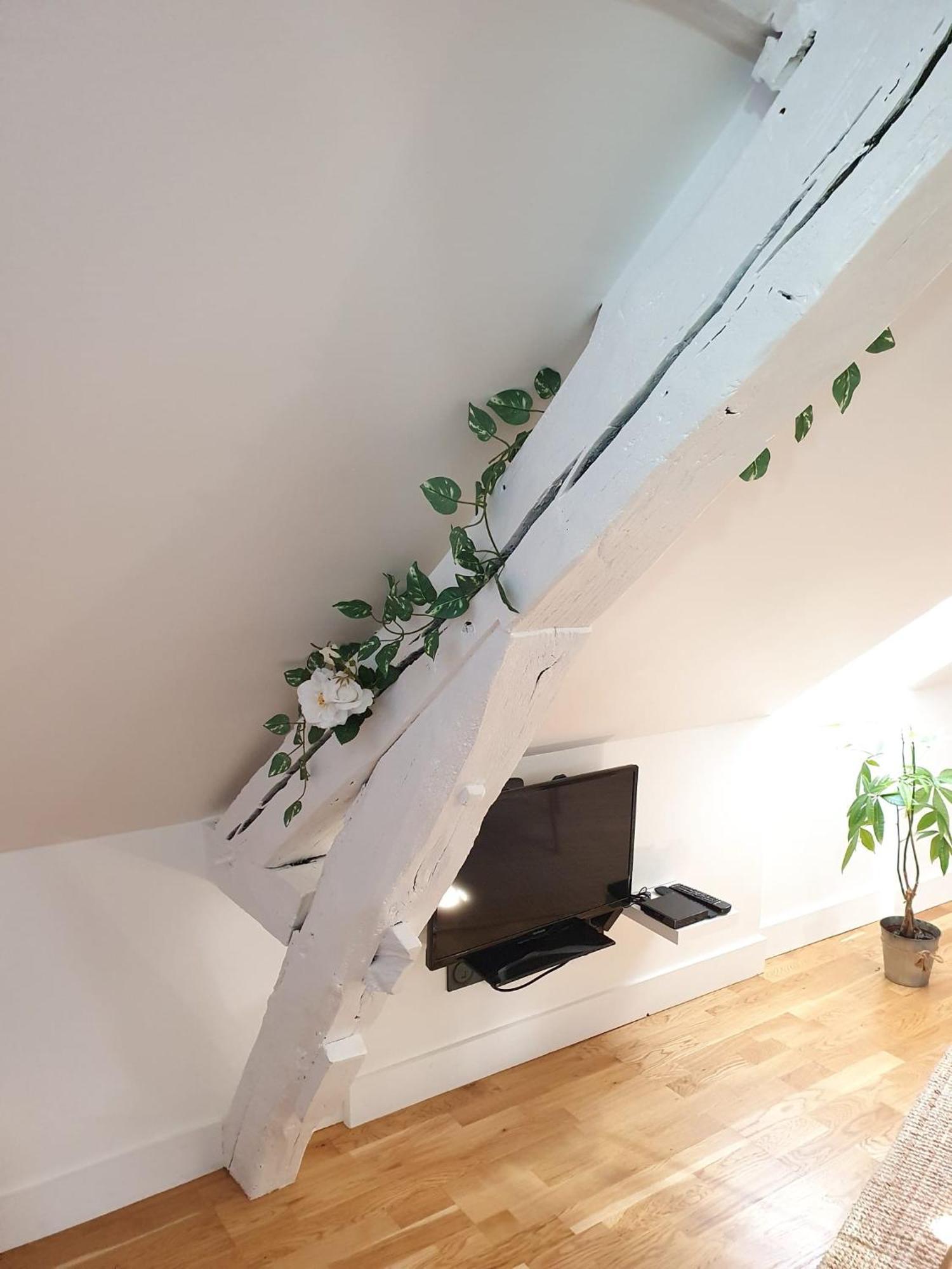Apartament Quietude Au Bord De Loire. Orlean Zewnętrze zdjęcie
