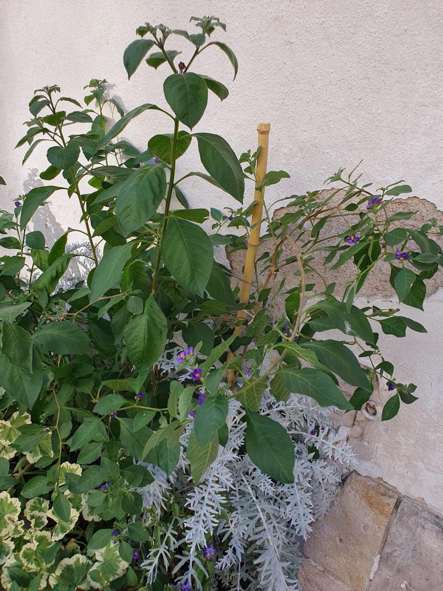 Apartament Quietude Au Bord De Loire. Orlean Zewnętrze zdjęcie