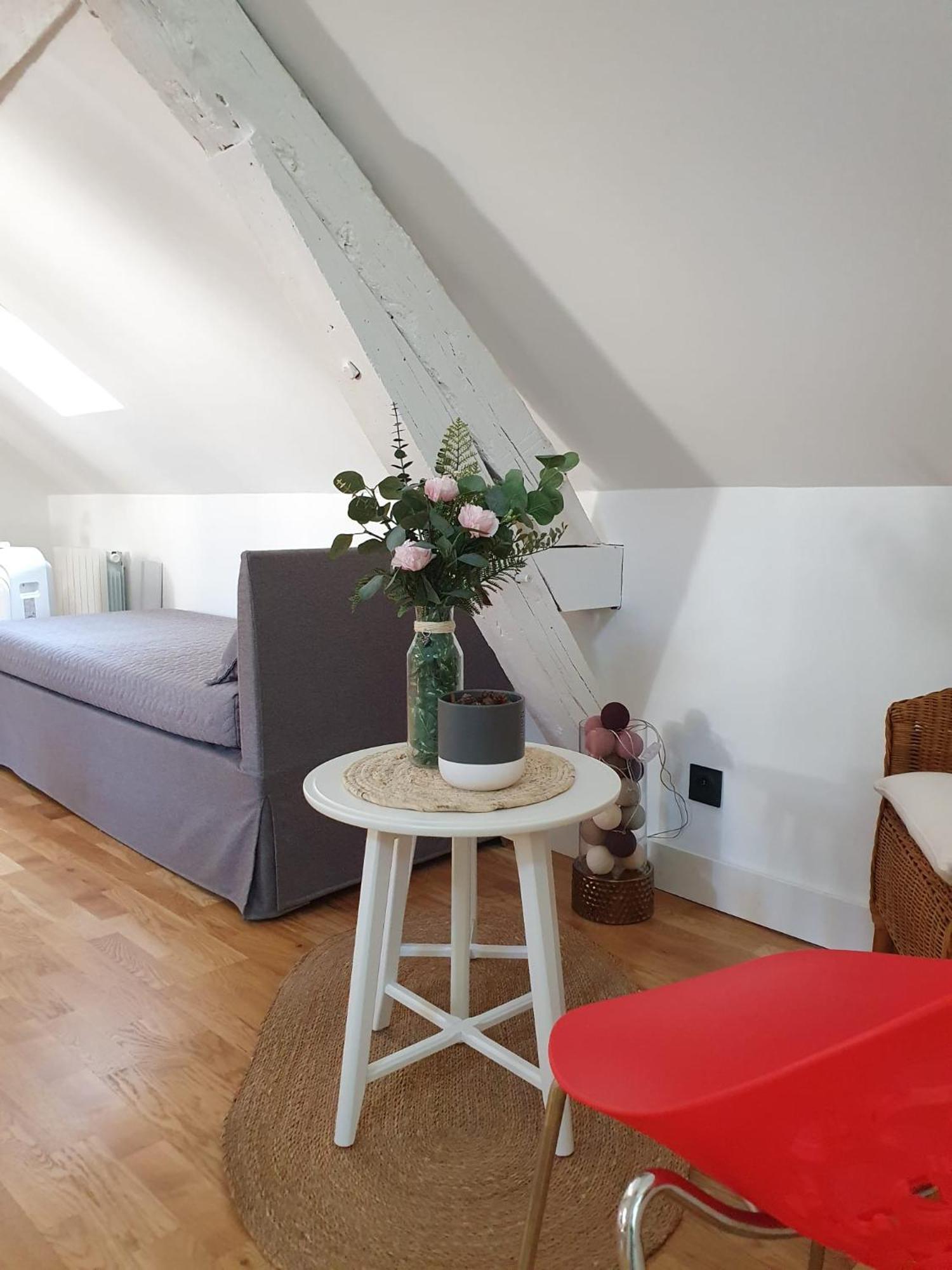 Apartament Quietude Au Bord De Loire. Orlean Zewnętrze zdjęcie