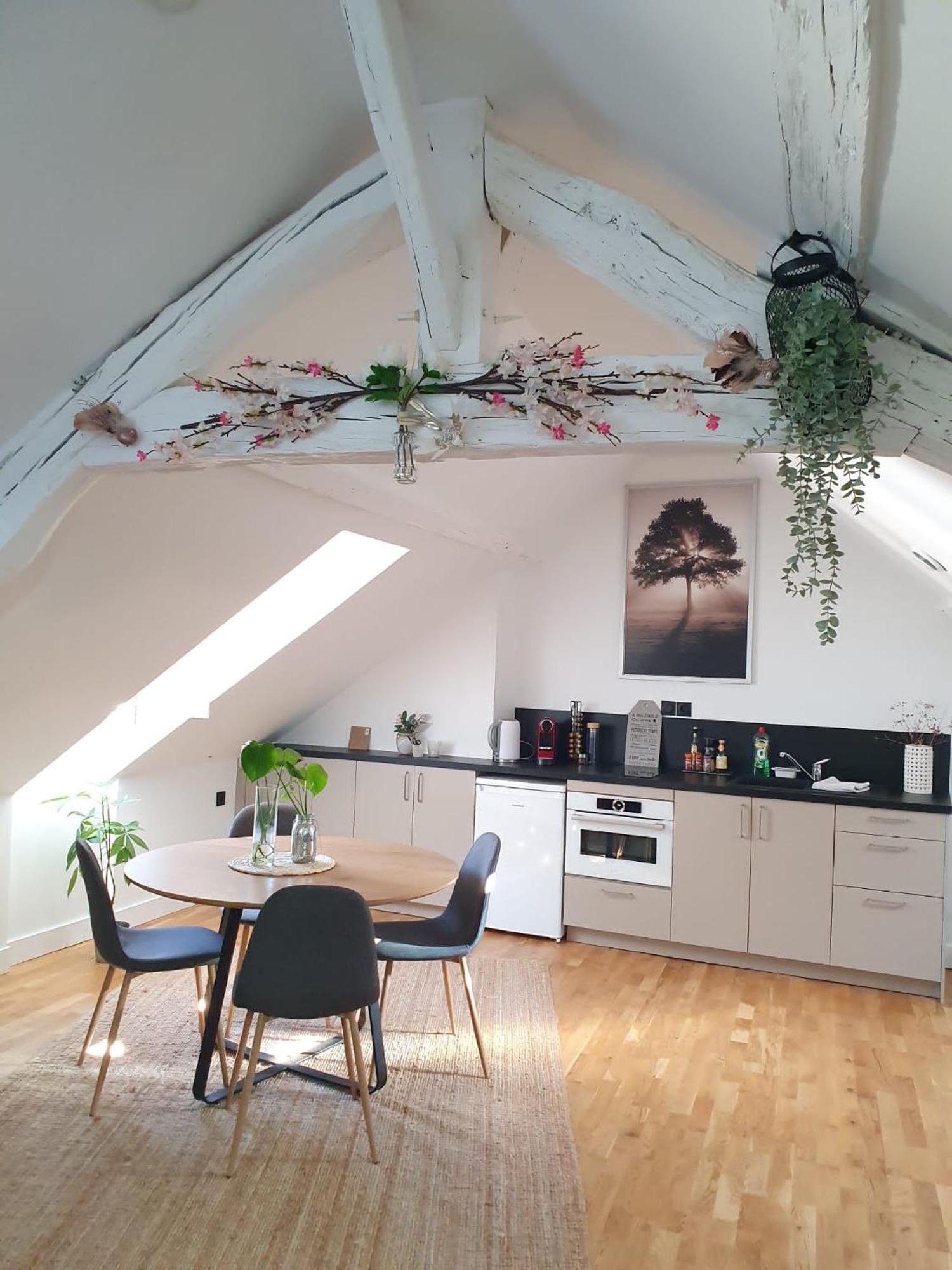 Apartament Quietude Au Bord De Loire. Orlean Zewnętrze zdjęcie